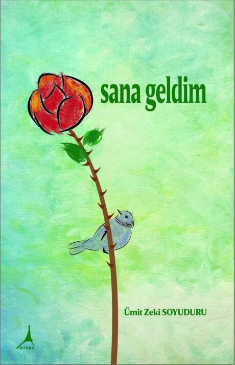 Sana Geldim